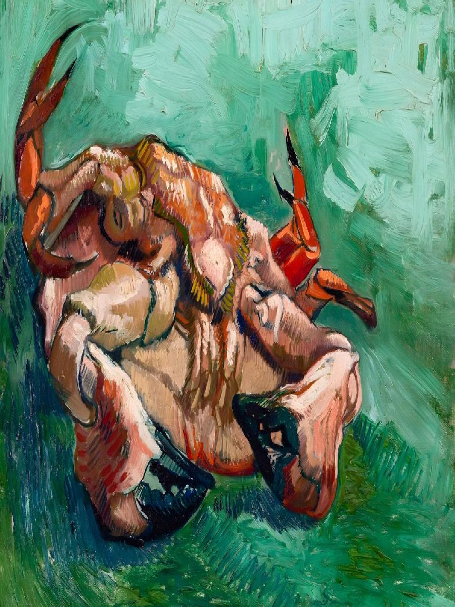 Granchio ispirato a Van Gogh s - Interior Design Its recensione e prezzo