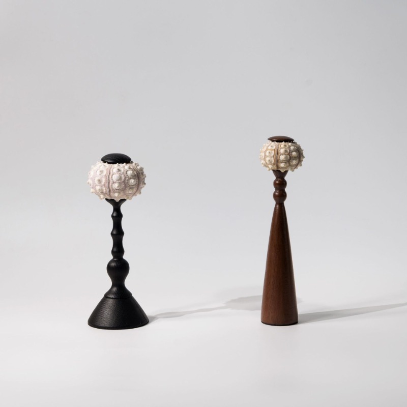 Scultura creativa di conchigli - Interior Design Exhibition recensione e prezzo