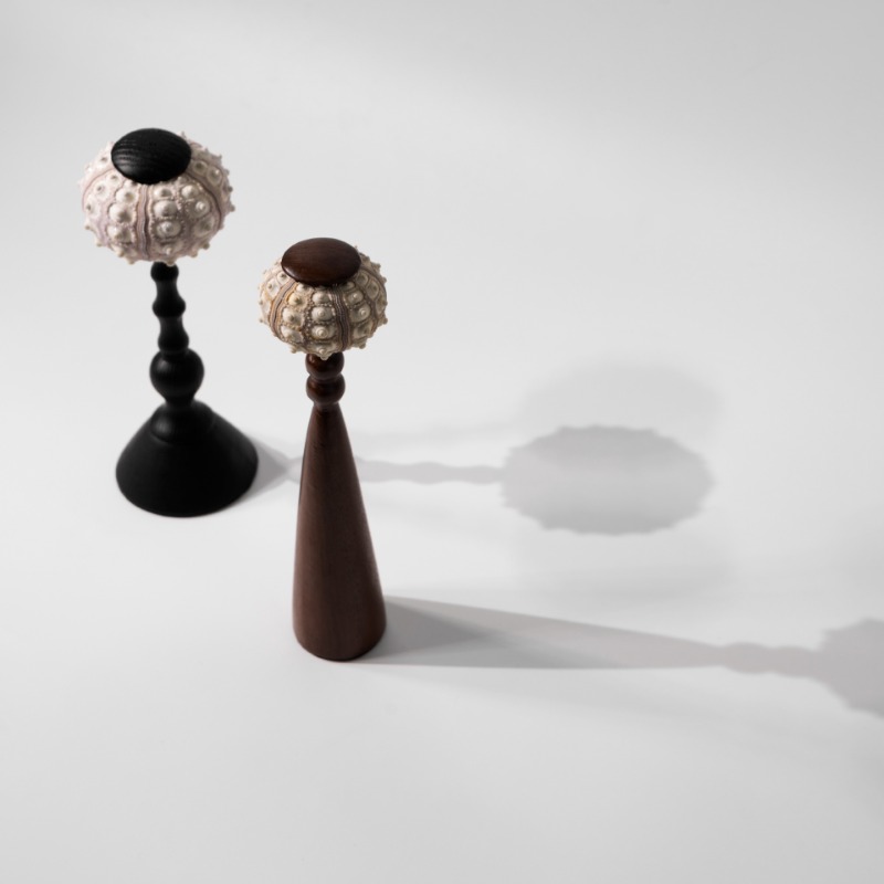 Scultura creativa di conchigli - Interior Design Exhibition recensione e prezzo