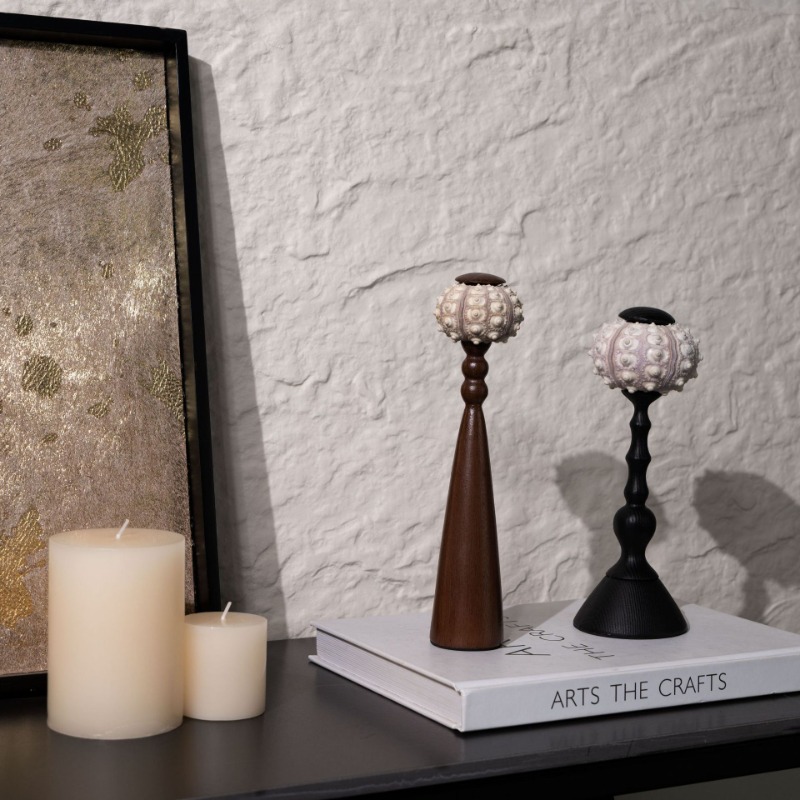 Scultura creativa di conchigli - Interior Design Exhibition recensione e prezzo