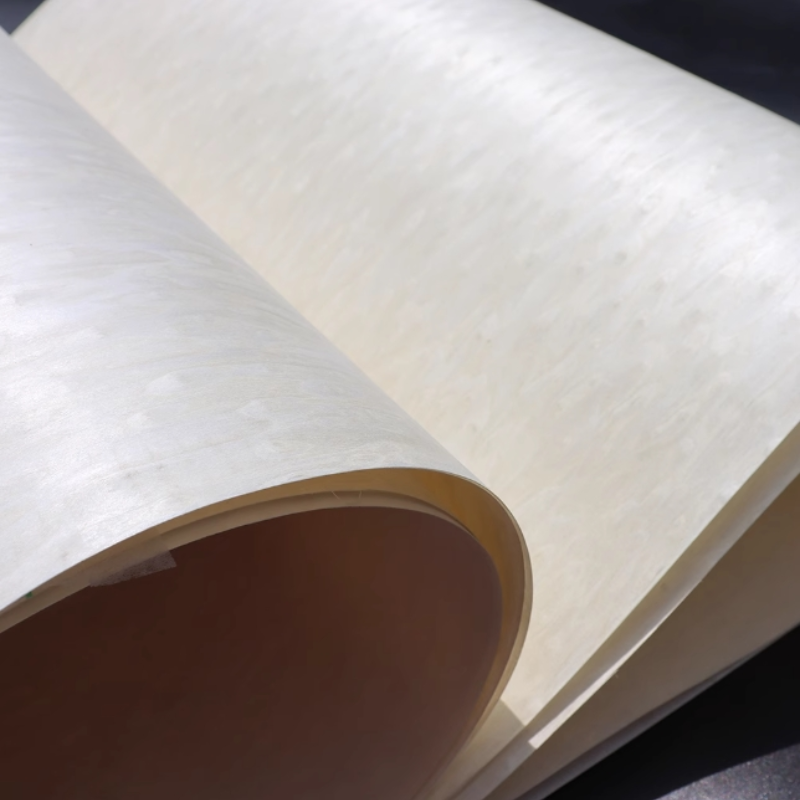 Tech ALPi White Cat's Eye Fogl - Interior Design Tech recensione e prezzo