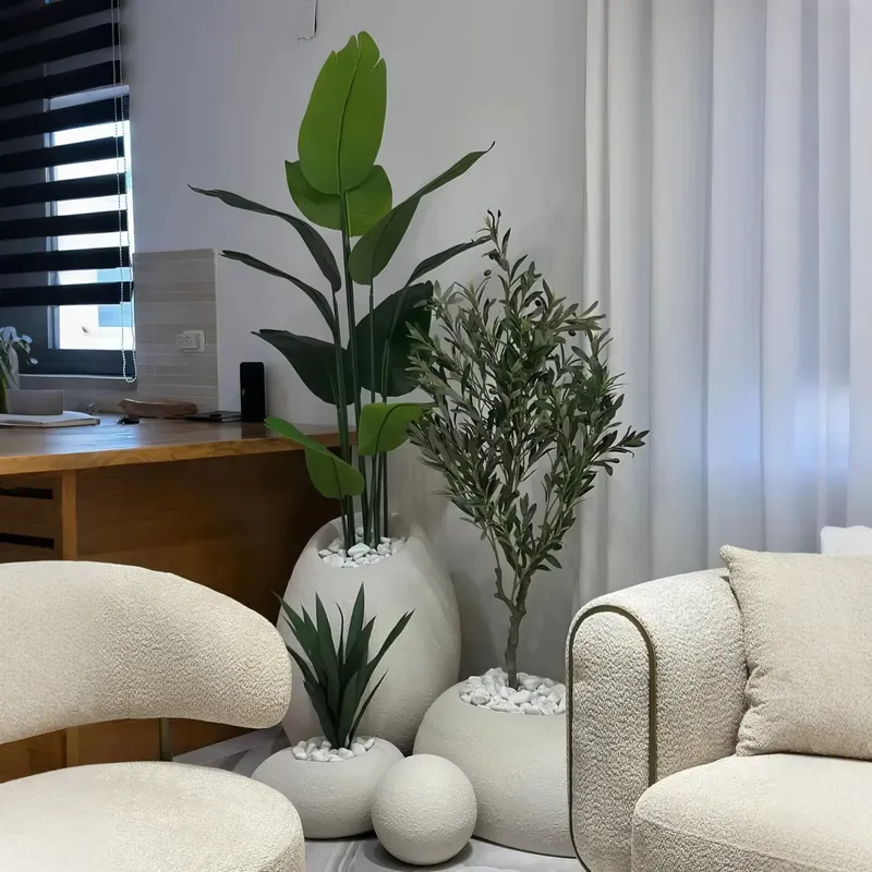 Crea la Tua Oasi: Splendido Bo - Interior Design Your Home recensione e prezzo